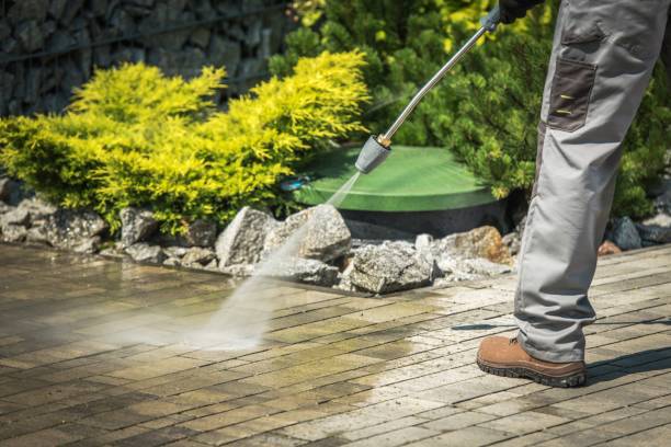 Best Boat and Dock Cleaning  in Arbury Hls, IL