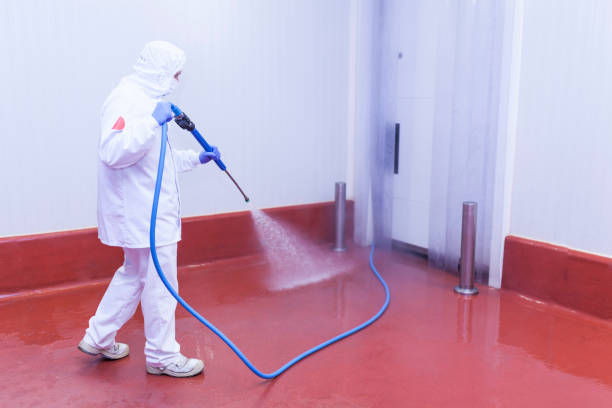 Best Rust Removal  in Arbury Hls, IL