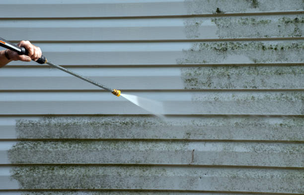 Best Building Exterior Washing  in Arbury Hls, IL