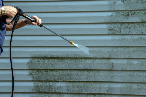 Boat and Dock Cleaning in Arbury Hills, IL