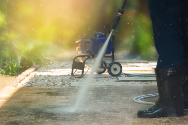 Best Spring Cleaning  in Arbury Hls, IL